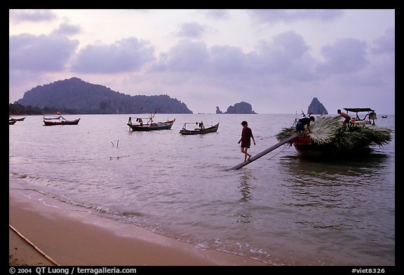 Preparing to unload leaves. Hong Chong Peninsula, Vietnam (color)