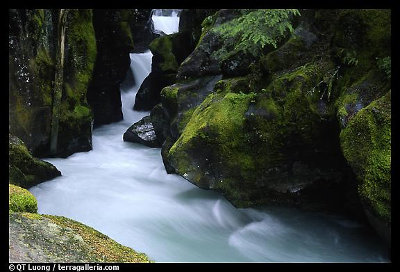 Avalanche Gorge, Glacier National Park. 