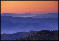 Ridges at dawn, Great Smoky Mountains National Park. 