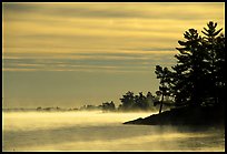 Fog at sunrise, Voyageurs National Park. 
