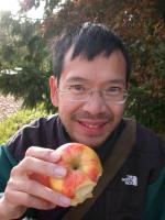 Free apple, Chenonceaux chateau.  ( color)