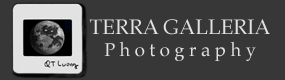 Terra Galleria Photography